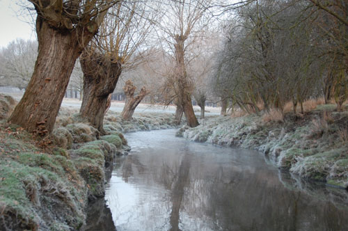 Beverley Brook river in winter