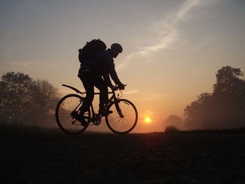 Biking at sunset through Richmond Park
