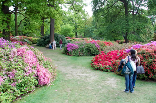 Isabella Plantation gardens