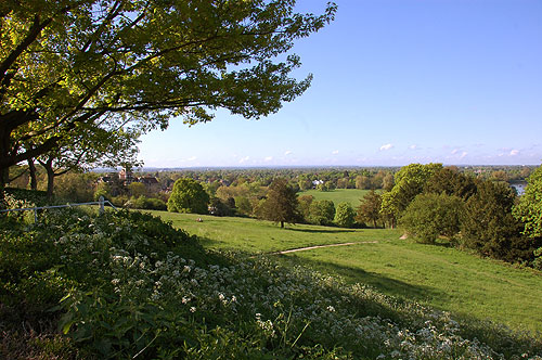 Richmond Hill View
