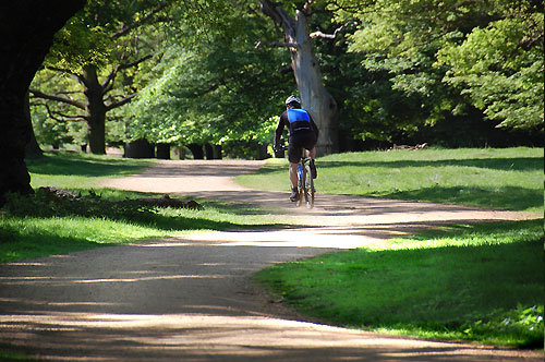 Mountain biking on Tamsin Trail