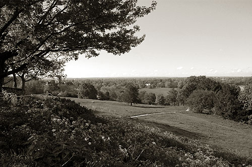 Richmond Hill View