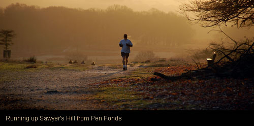 Running in Richmond Park