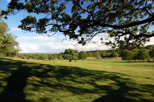 Spankers Hill