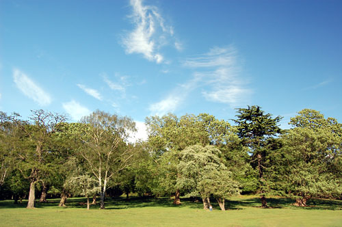 Spankers Hill Wood